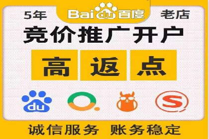 竞价推广策略解析：实战案例分析